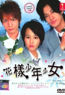 Hanazakari no Kimitachi e