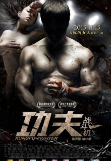 Kungfu Fighter