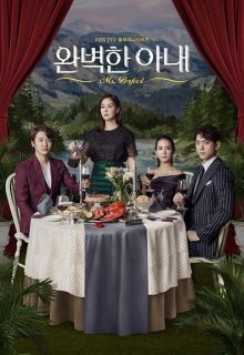 Perfect Wife (Korean Drama)