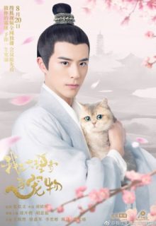 I’m a Pet at Dali Temple