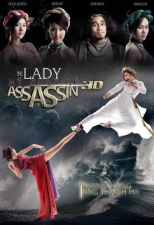 The Lady Assassin 2013