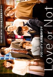 Love or Not