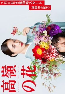 Takane no Hana (Born to be a Flower)