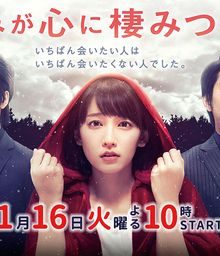 You Always Inhabit My Heart (Kimi ga Kokoro ni Sumitsuita)