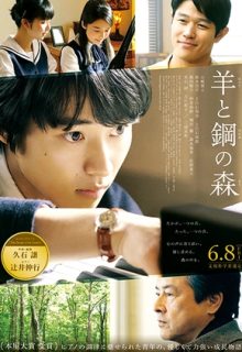 A Forest of Wool And Steel