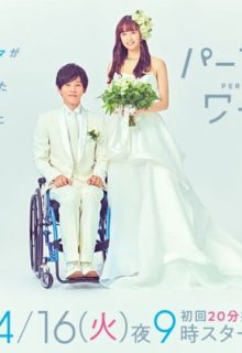 Perfect World (Pafekuto Warudo)