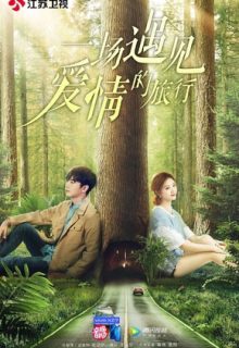 A Journey to Meet Love