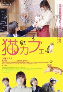 Cat Cafe