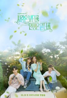 Beautiful Love, Wonderful Life