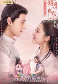 The Love by Hypnotic