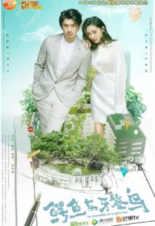 Crocodile and Plover Bird