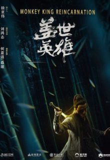 Monkey King Reincarnation