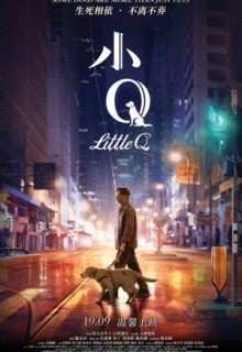 Little Q