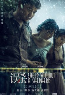 Sheep Without a Shepherd