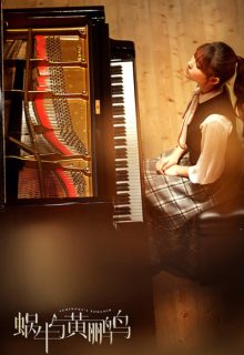 Symphony’s Romance