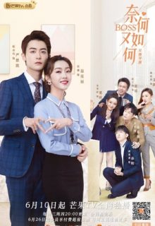 What If You’re My Boss?