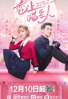 Falling In Love With Cats (2020)