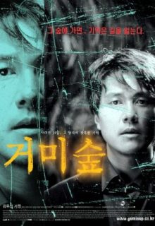 Spider Forest (2004)