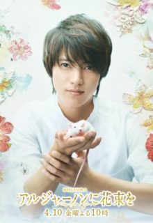 Algernon Ni Hanataba O