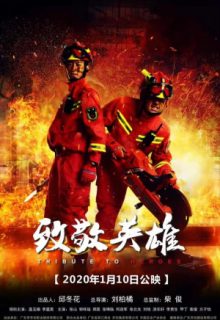 Tribute to Heroes (2020)