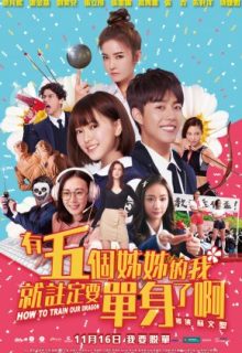 How To Train Our Dragon