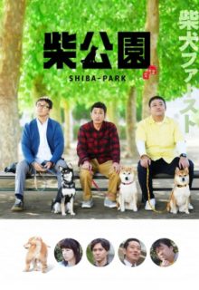 Shiba Park (2019)
