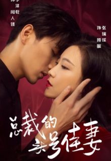 Wedding Party (2021)