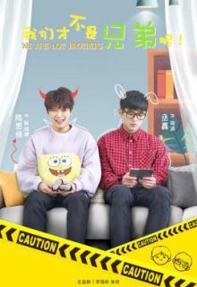 We Are Not Brothers (2020)