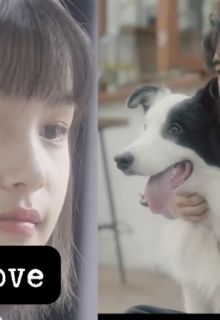 First Love (China 2022)