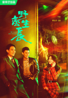 Wild Bloom (2022)