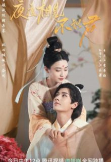 Ye Ye Xiang Jian Bu Shi Jun (2023)