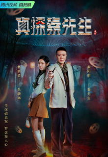 True Detective Mr. Qin (2023)