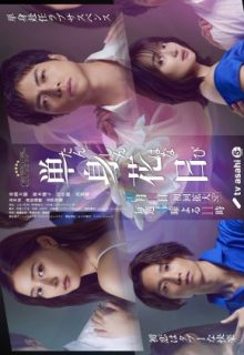 Tanshin Hanabi (2023)