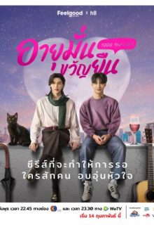 1000 Years Old (2024)