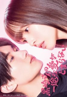 Mr. Kurosaki s Pure Love Never Stops (2026)