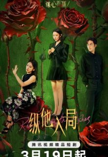 Rising from the Ashes (2025)