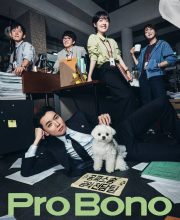 Pro Bono (2025)