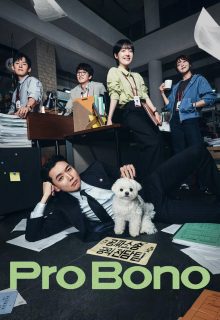 Pro Bono (2025)