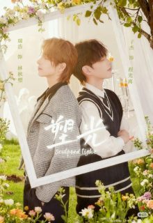 Sculpted Light (2025)